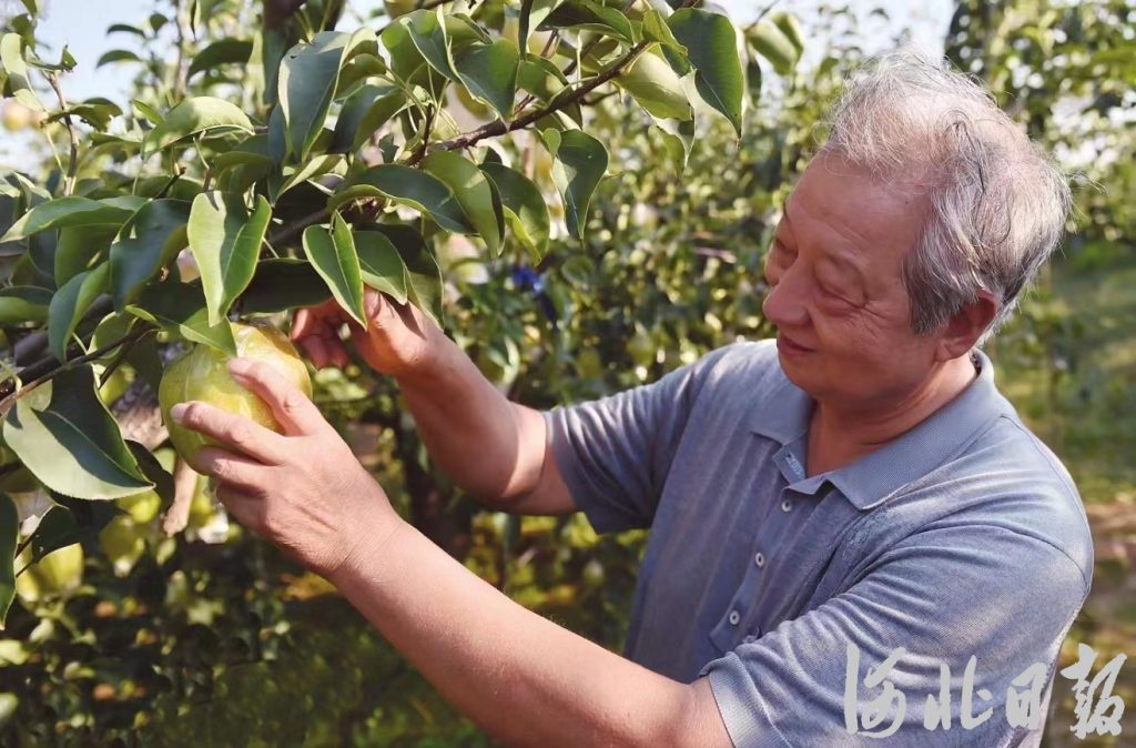 有了初心，就是一辈子的事——追记“燕赵楷模”、河北“新时代离退休干部的模范”曲宪忠