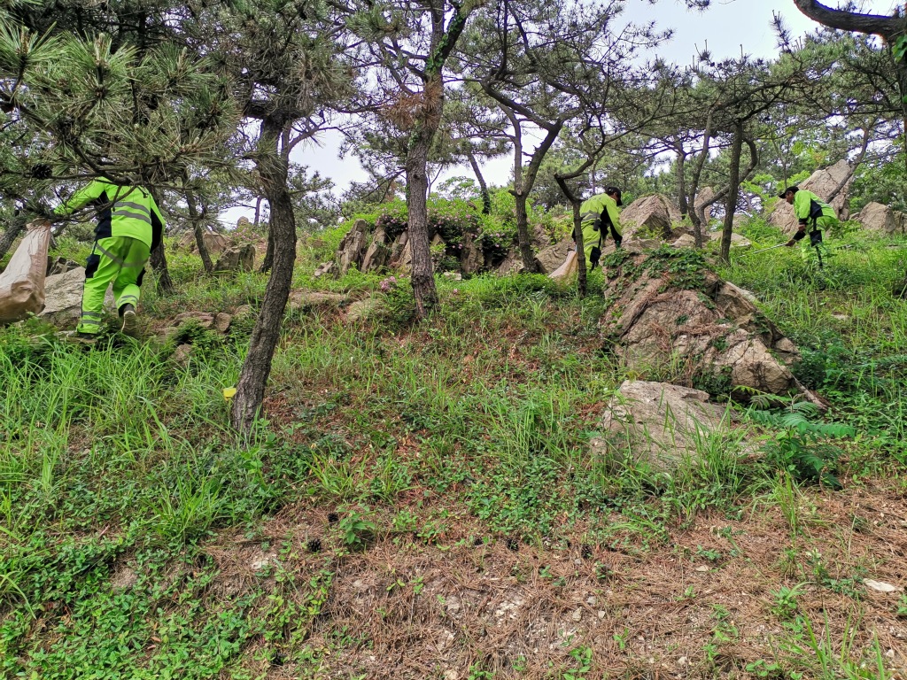 广东闹市发现巨蟒,深山现巨蟒