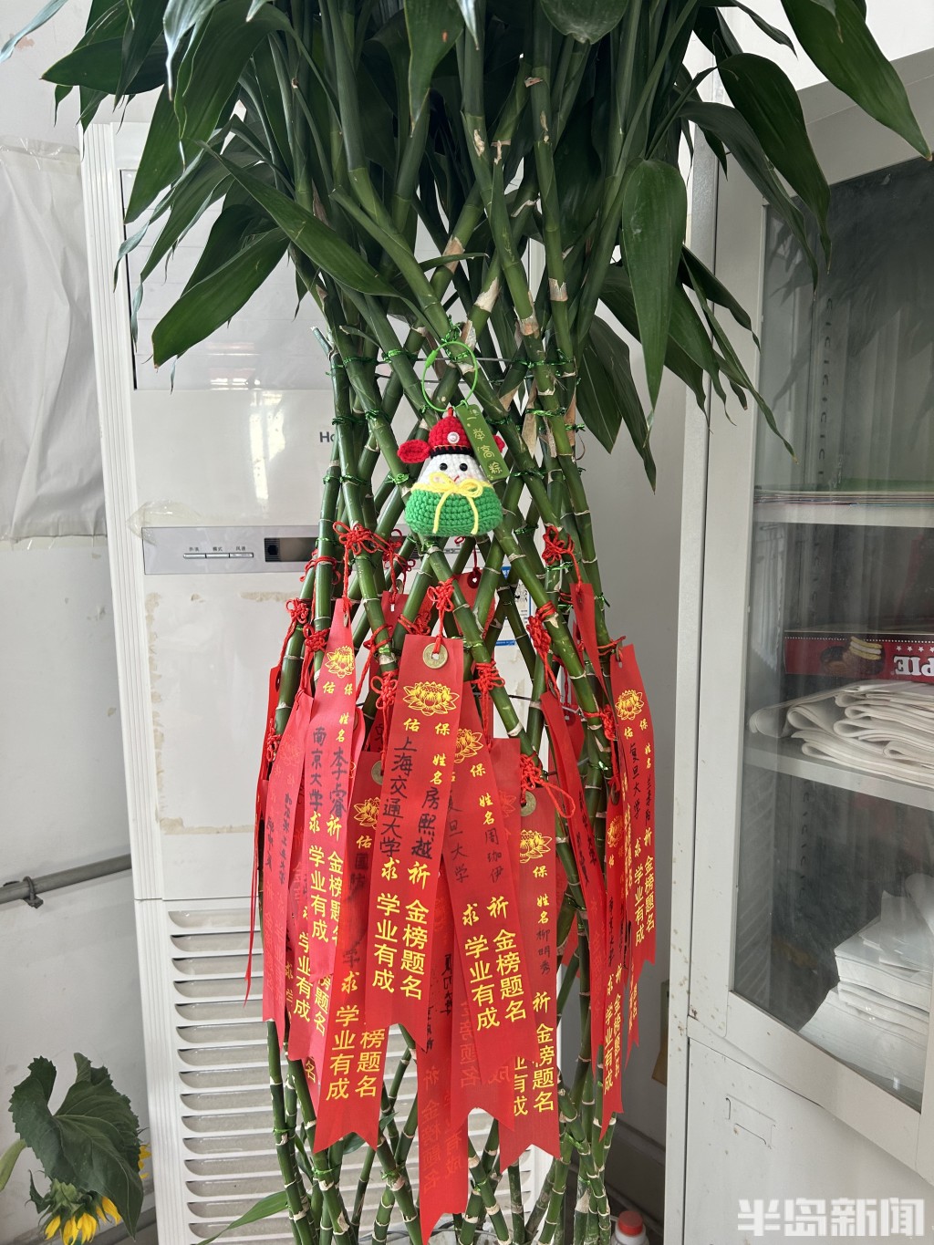 马面裙送考！记者深度还原即墨“宝藏老师”：经常带来“小惊喜”，喜欢用心调动学生积极性