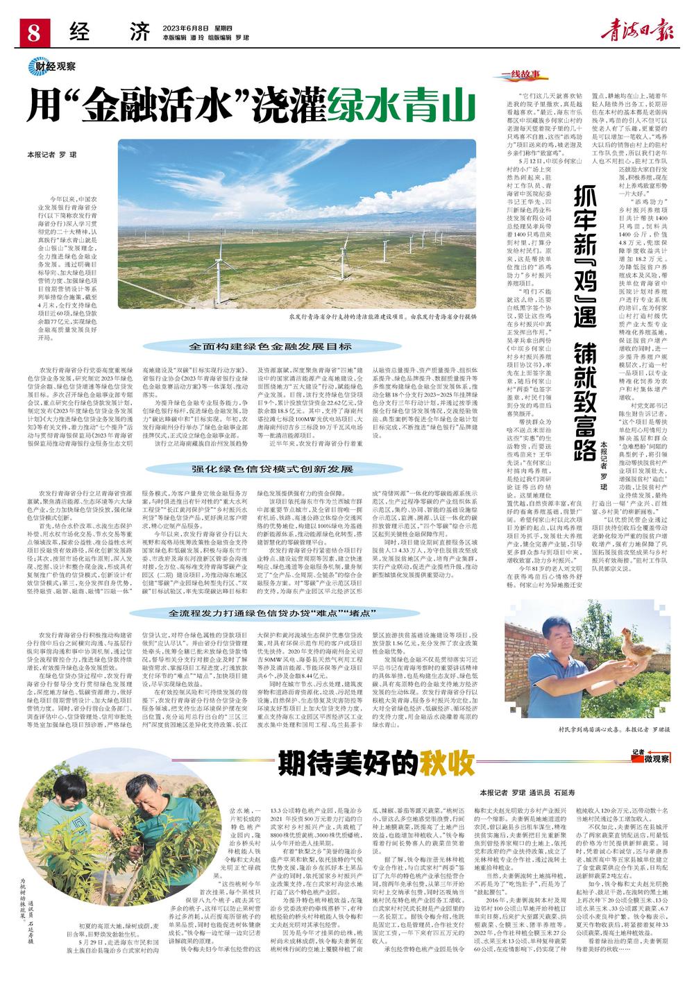 抓牢新“鸡”遇铺就致富路本报记者罗珺