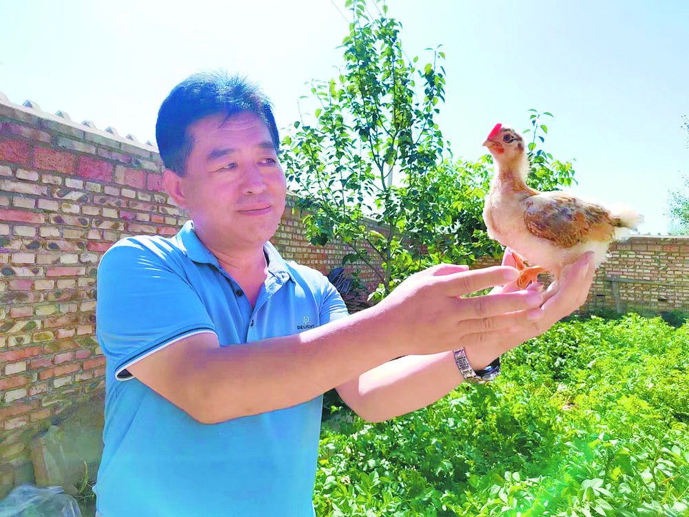 抓牢新“鸡”遇铺就致富路本报记者罗珺