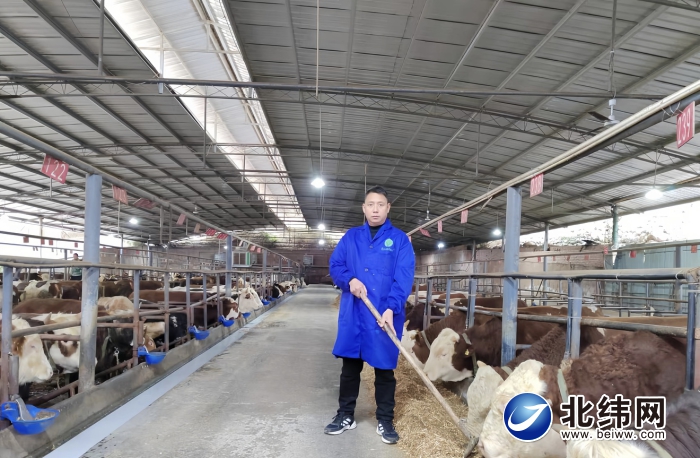 蹚出“牛路子”念好“致富经”