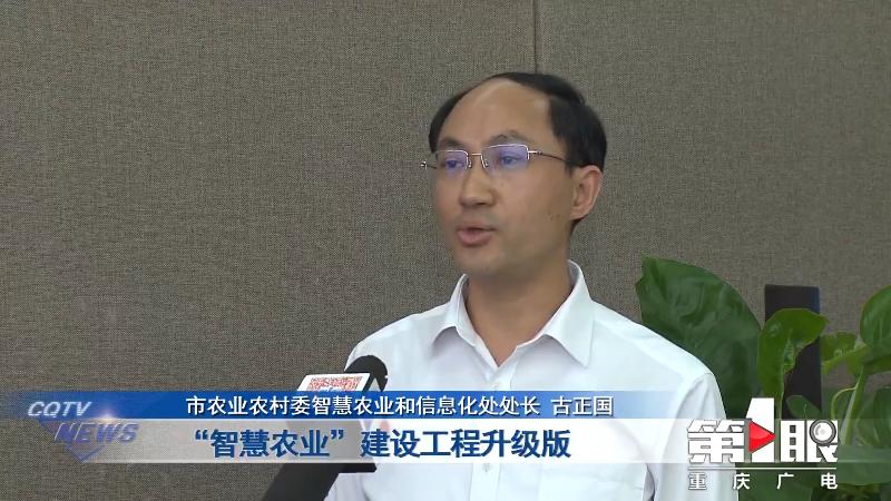 科技创新如何助力智慧农业发展,新技术助力实现智慧农业