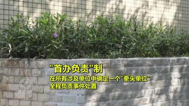焦点访谈丨如何一次性解决老百姓的“麻烦事”？深圳“一键下单”了解一下→