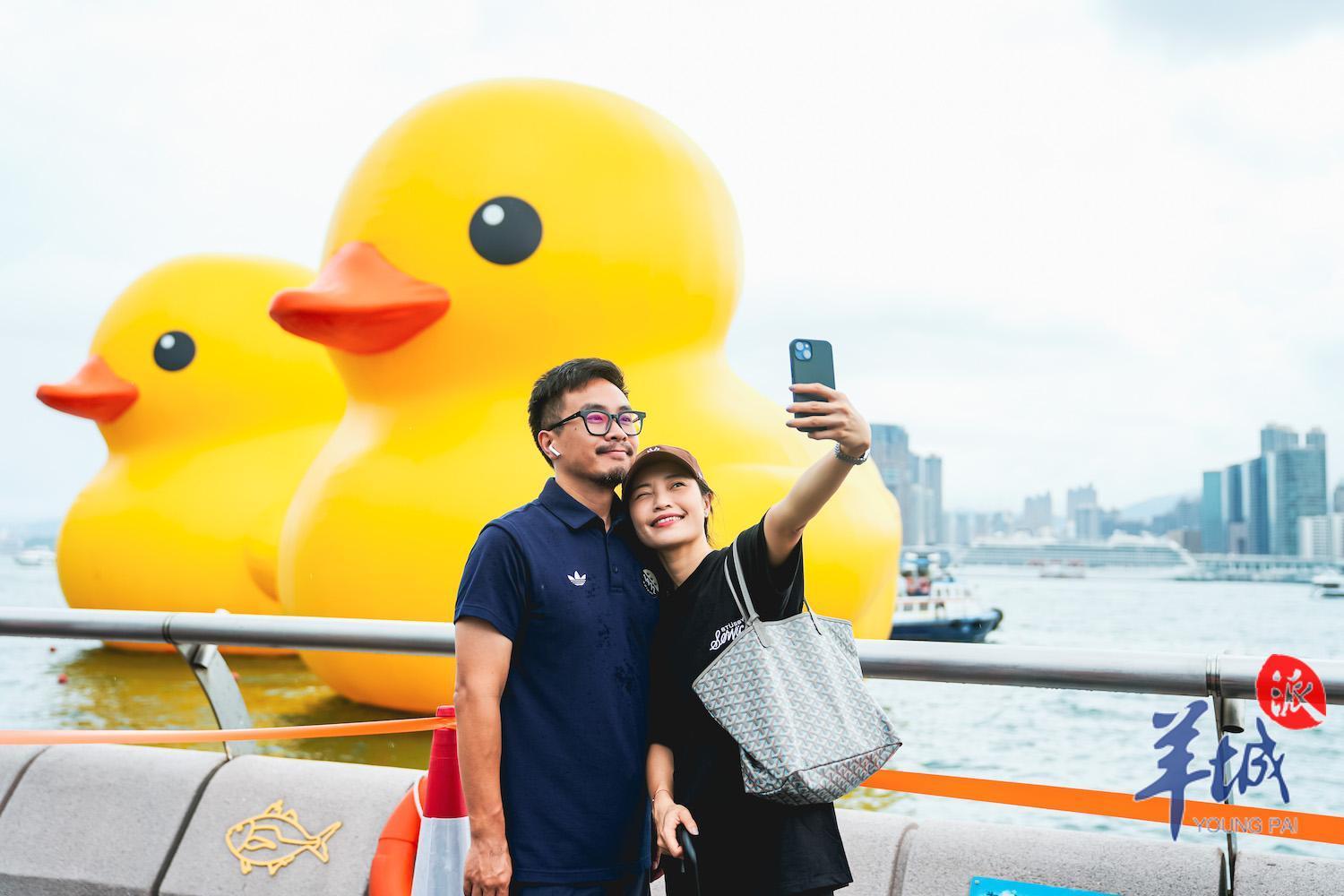 大黄鸭游香港,香港大黄鸭去过多少个地方