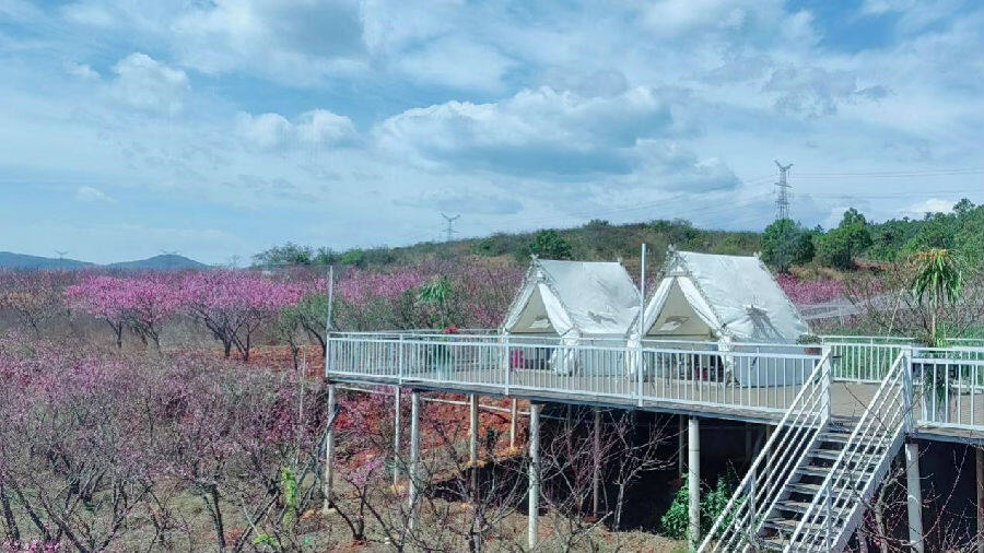 扎根乡村创业,扎根新农村做有志新农人