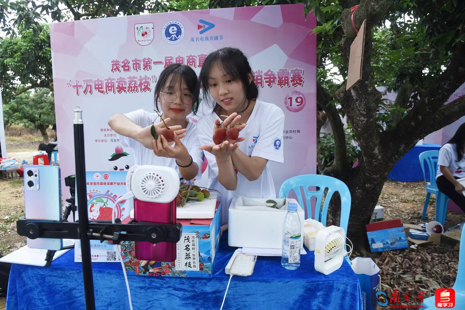 高质量发展调研行引热议,调研高质量发展步骤