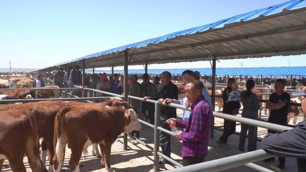 缈佺墰鐗规棗缁忔祹鎺掑悕,缈佺墰鐗规棗缁忔祹鍙戝睍