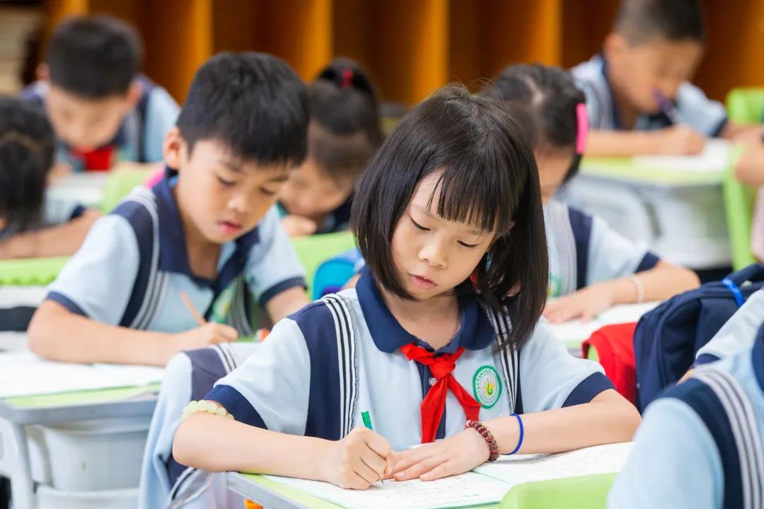 喜讯我校再获一项省级荣誉称号,我市6所学校获国家级表彰