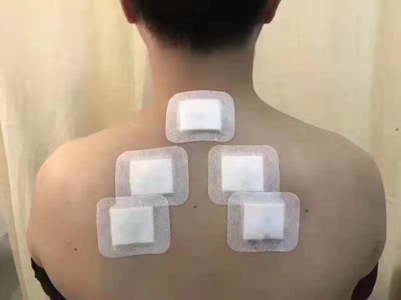 夏季养生做好3件事补脾胃养阳气,补脾胃中医养生