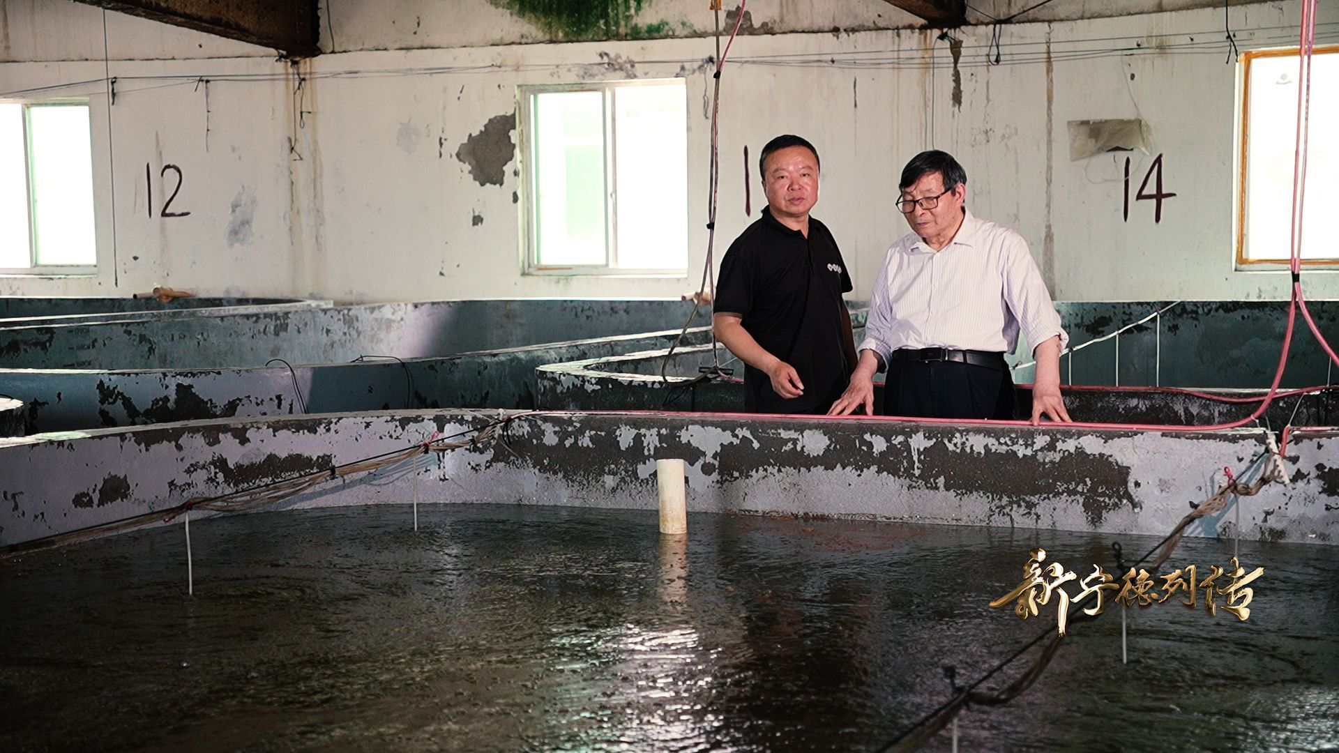 新宁德列传丨“大黄鱼之父”刘家富访谈录：国鱼重生（下）