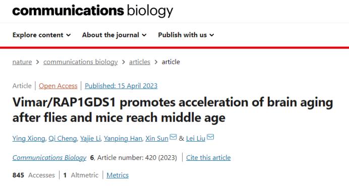 到了这个年纪，大脑会“断崖式”衰老！6个坏习惯，别再做了！