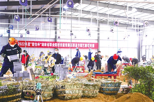 向阳花木易为春用英文怎么说,向阳花木易为春9