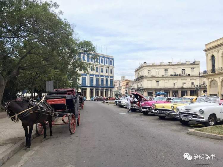 来回飞80个小时，人均三四万！说走就能走的小众目的地古巴上海已开团，你会去吗