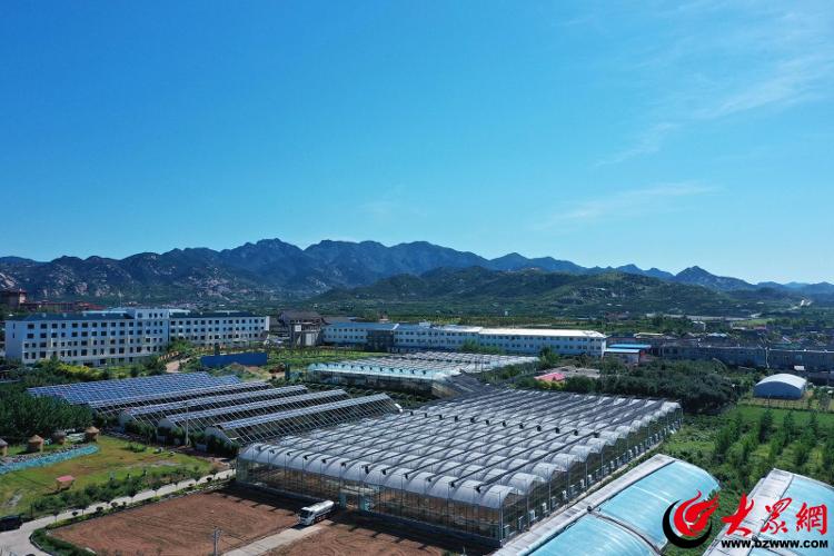 如何建立全产业生态农业发展模式,生态循环农业带动种植业转型升级