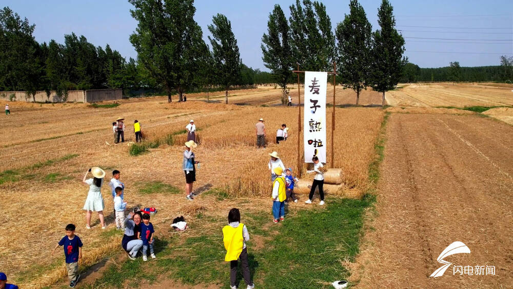 山东乡村改造,山东省乡村振兴样板村庄打造