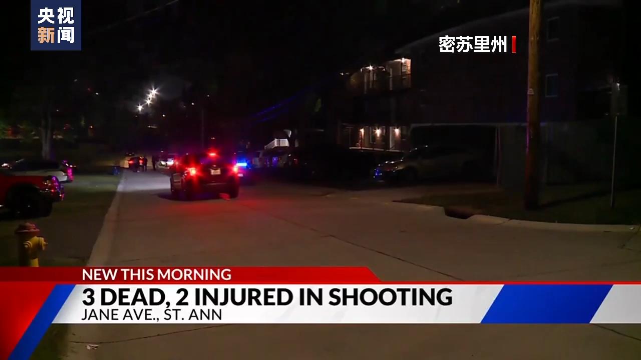 美国独立日警示,美国独立日表演枪声