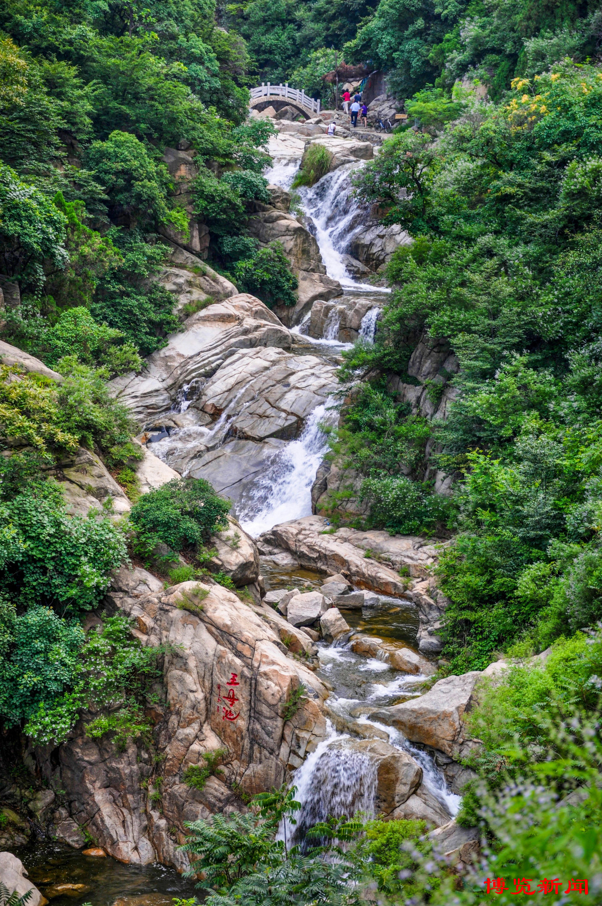 节气里的淄博︱小暑：荷花香万物长时有微凉不是风
