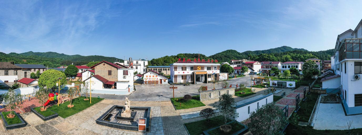 硕果累累庆丰收乡村振兴新气象,万亩花海铺展乡村振兴壮美画卷