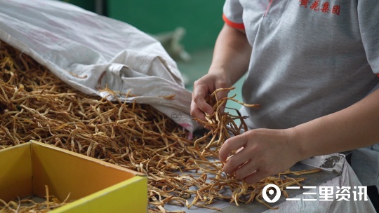 【创业100】黄花菜大产业，大荔黄花集团总经理：力争销售破亿元