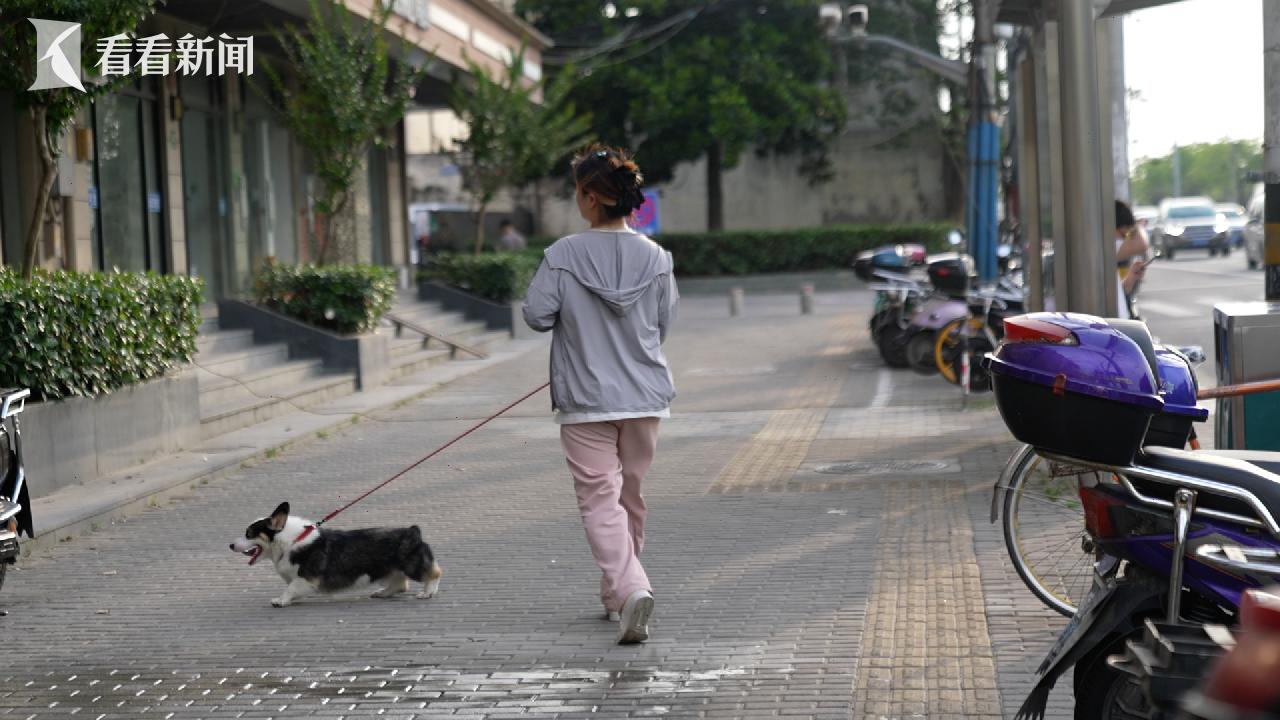 36岁裸辞创业宠物店,放弃五位数月薪90后美女开宠物店