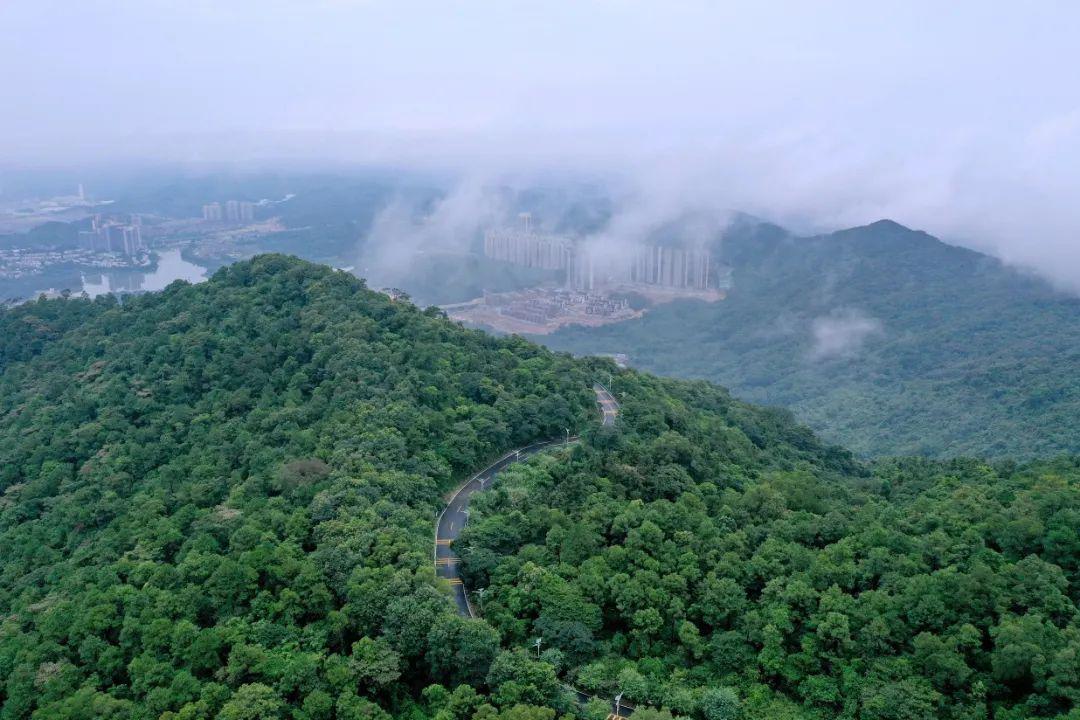 增城好去处一日游,暑假旅游推荐增城