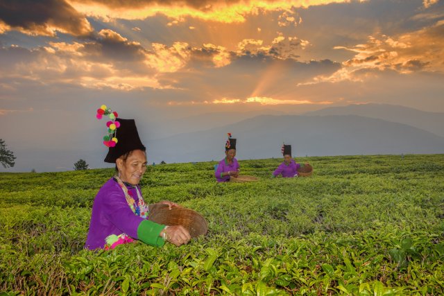 有一种叫云南的生活朗诵,有一种叫云南的生活感觉