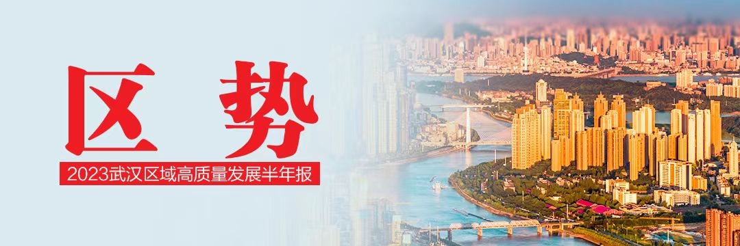 武汉未来新洲建设,新洲阳逻发展规划最新消息