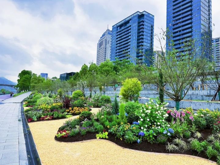 杭州周边遛娃,杭州周末遛娃户外好去处免费