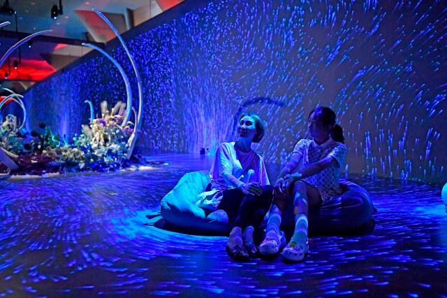 滨海新区向海乐活节时间表,滨海新区向海乐活节有什么活动