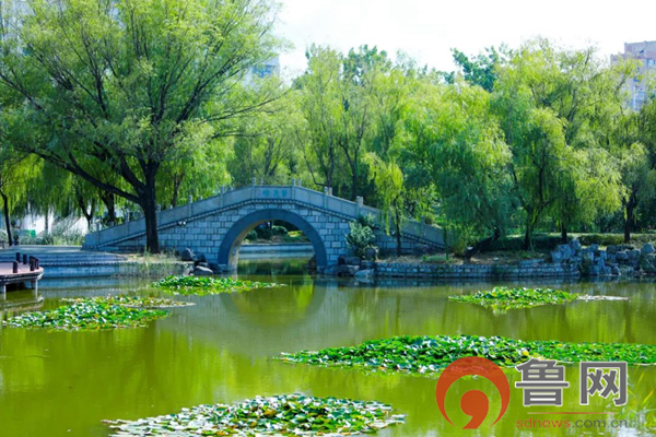 枣庄科技职业学院网站,枣庄科技职业学院官网首页