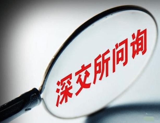 世联行监管函,世联行为何停牌