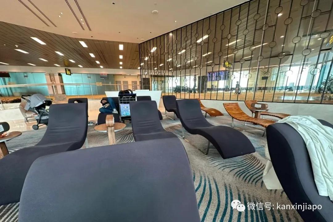 全球最美机场新加坡樟宜机场温度,新加坡樟宜机场和大兴机场哪个大