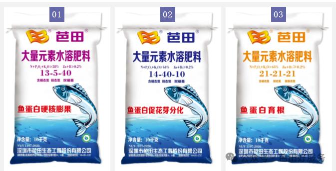 人参果种植致富,种植人参果经济价值