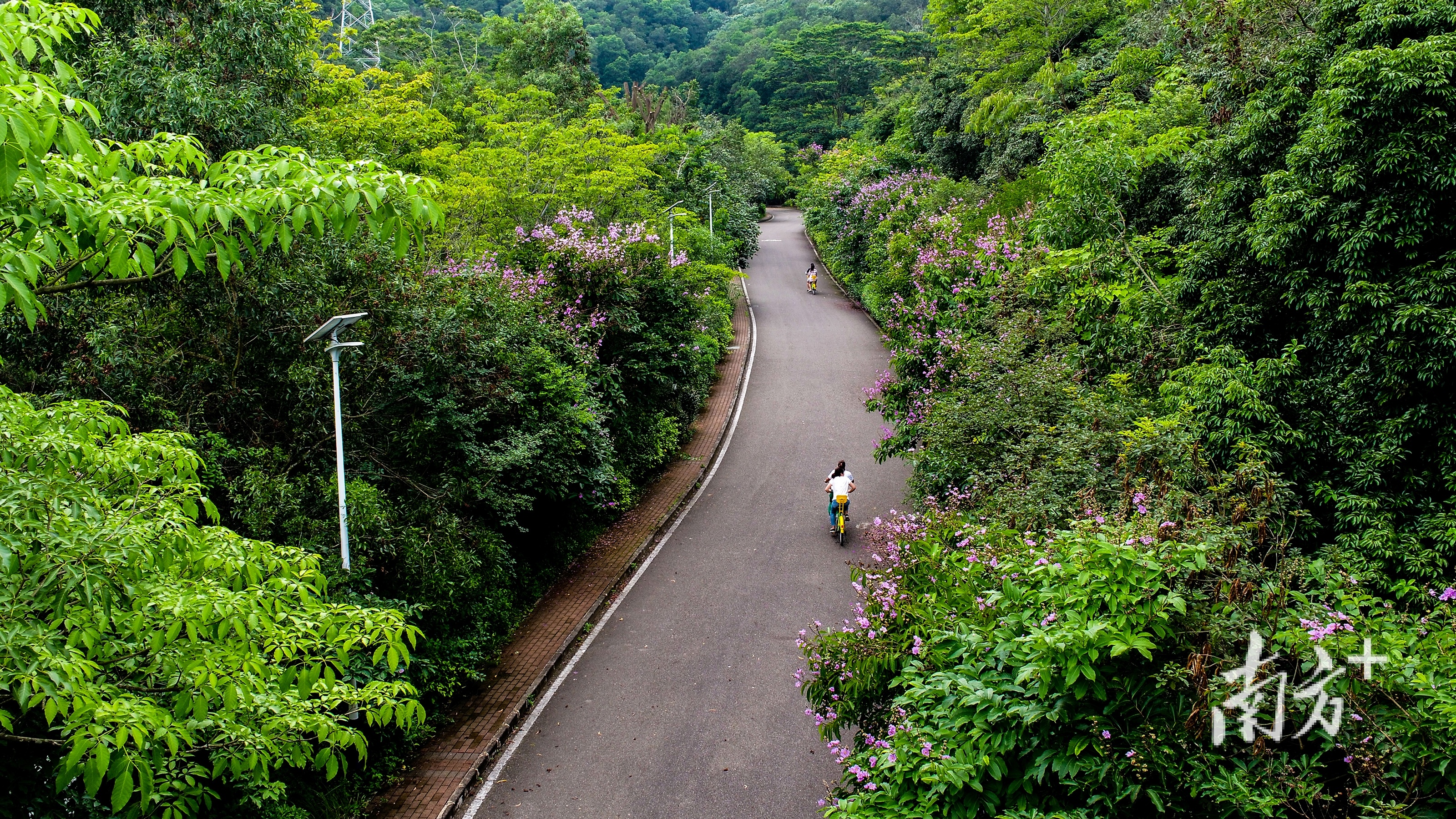 黄江旅游景点排名,黄江文化旅游