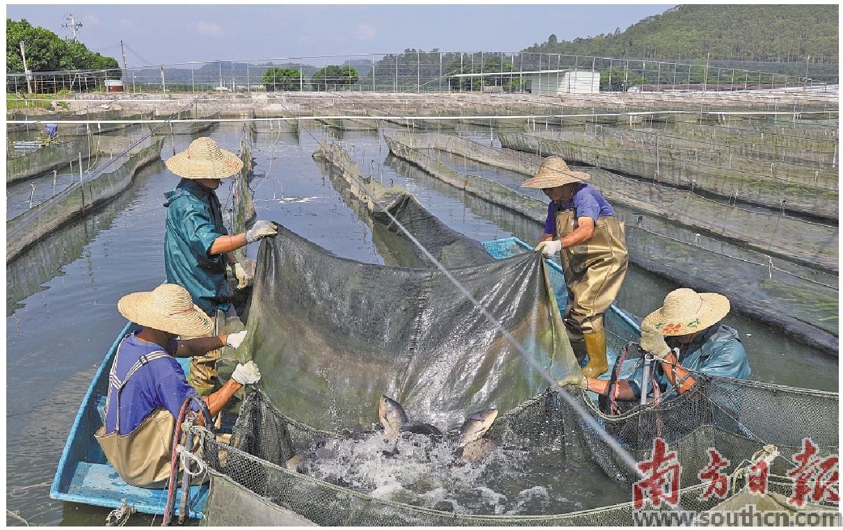 镇平三产融合示范园建设,东成镇发展规划