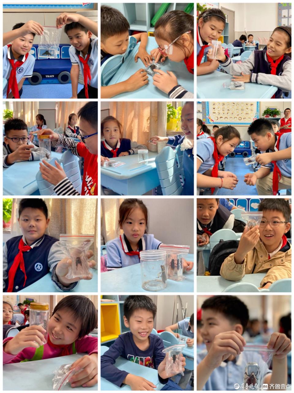 昆虫记专题走进昆虫世界,昆虫科普观世界