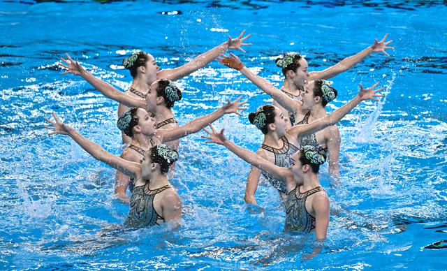 追光季蓝色花海,追光拥抱春天