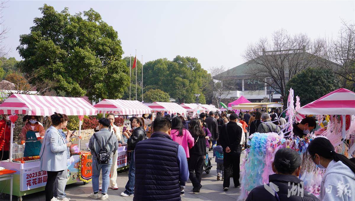 踏青东湖赏樱花,一起踏青游园赏樱花感受春的气息