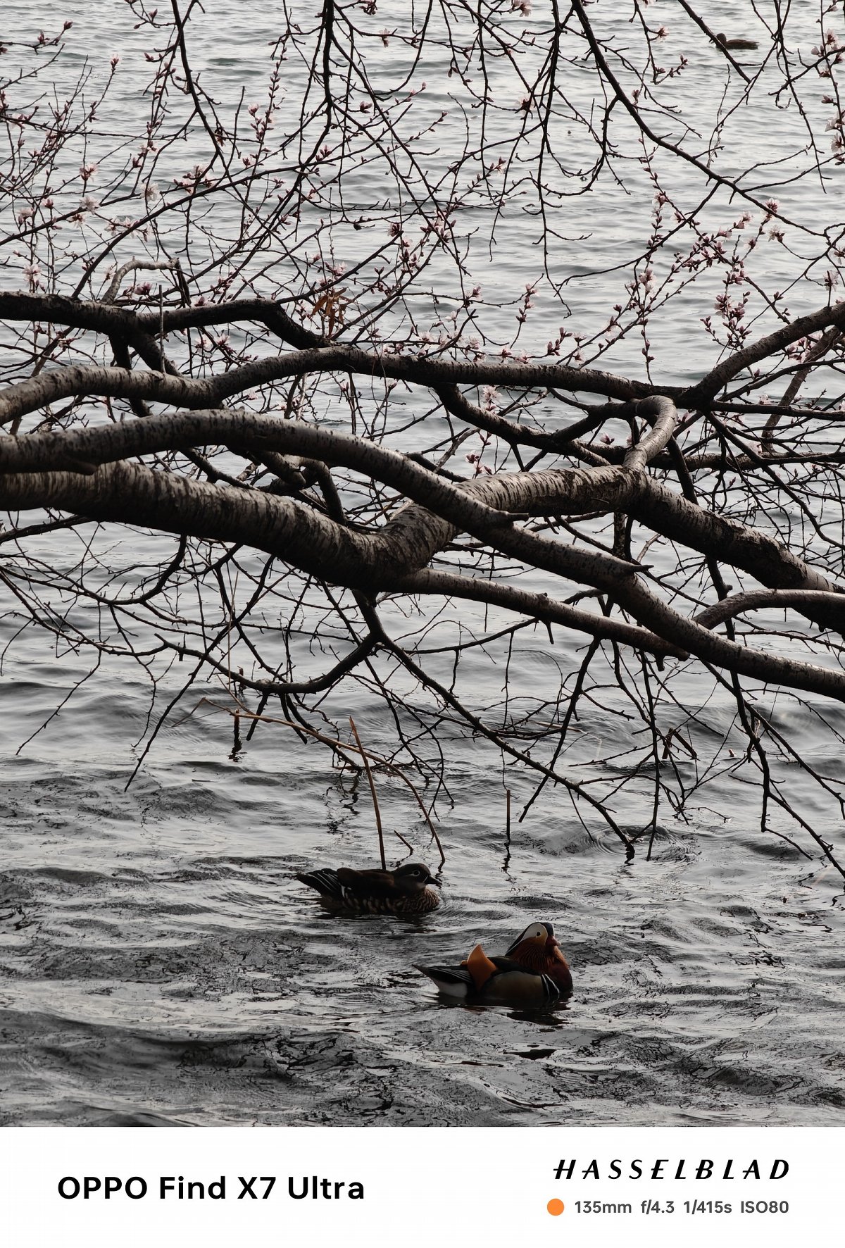 oppofindx7ultra娴嬭瘎,oppofindx7ultra鎷嶆憚璇勬祴