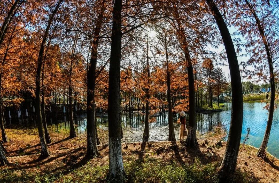 有何乾坤？闵行这里为企业送上特色“服务包”