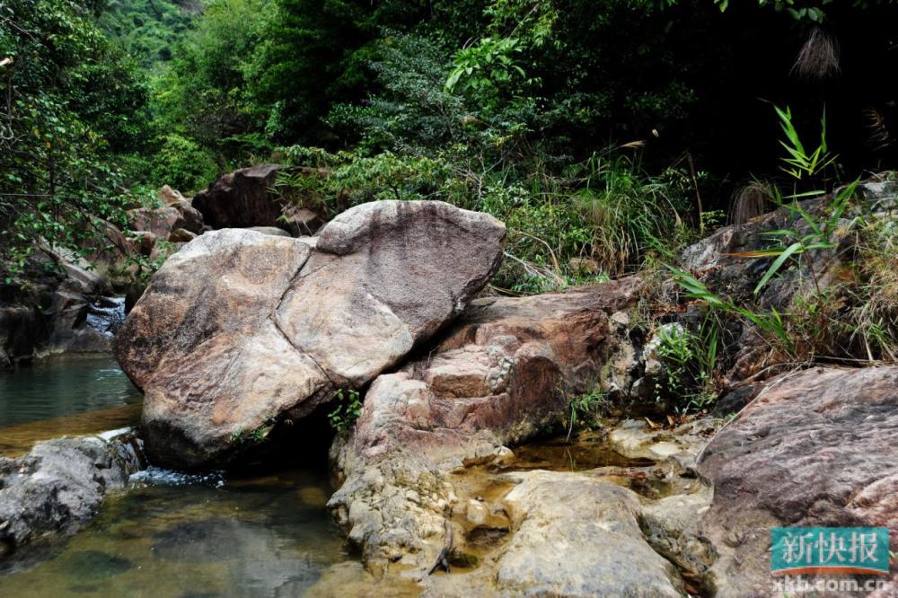 龙年抽龙签,龙年抽福签