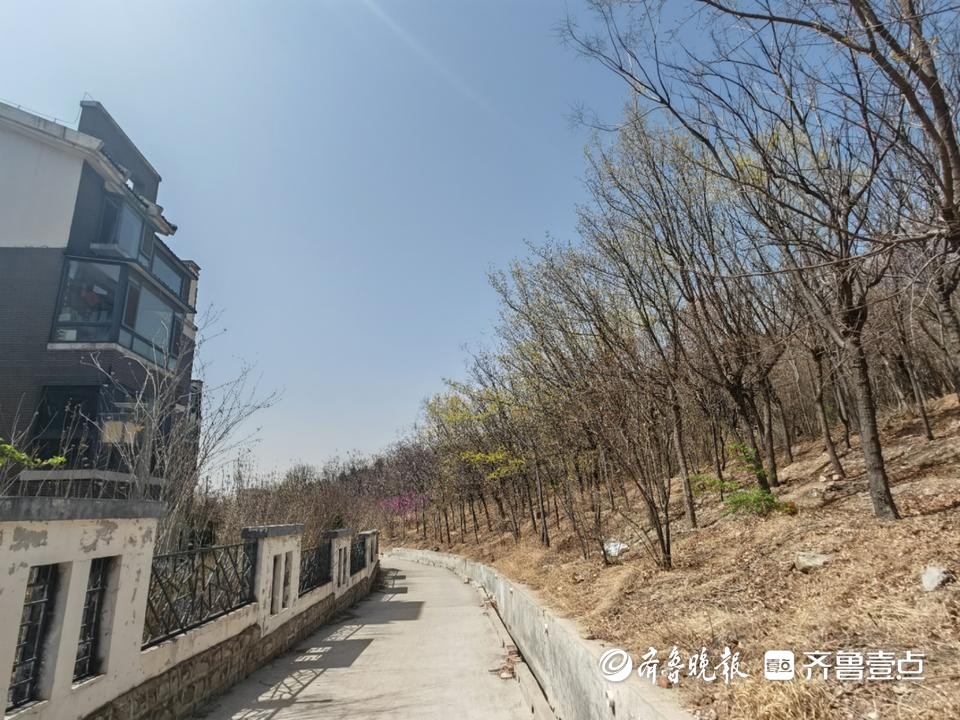 小区旁冒出墓地数百业主心慌慌,小区花园惊现一座坟墓