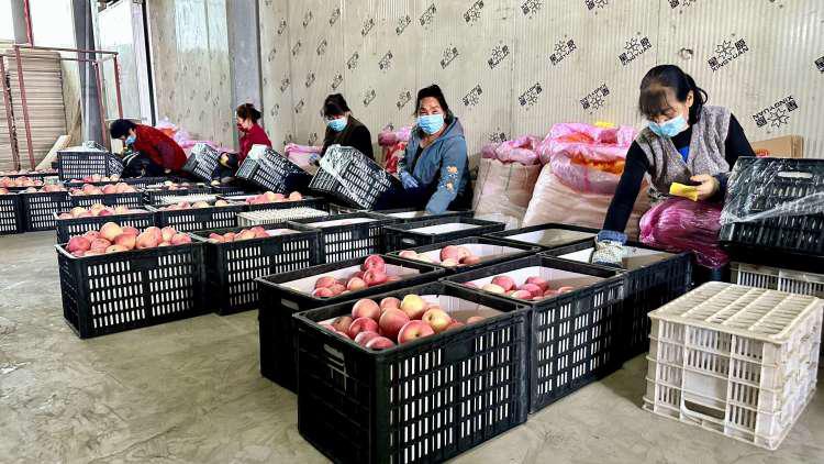 温泉故事情节视频,温泉故事大全