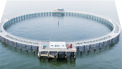 第六次海水养殖浪潮,全面抓好海水养殖业工作