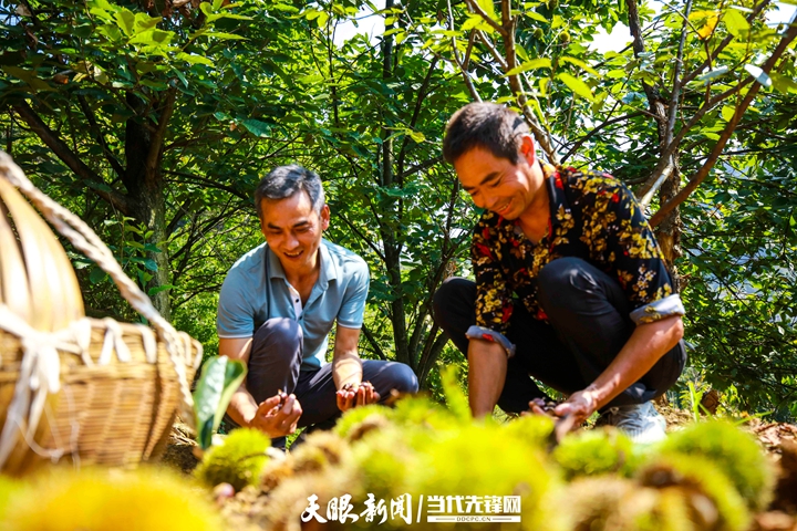 天眼农家乐,贵州天眼村全景航拍