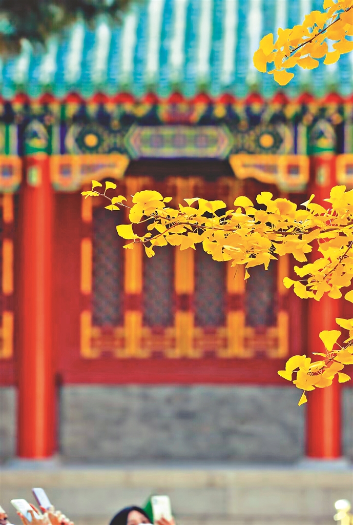 哈尔滨文庙传统文化,哈尔滨文庙旁边的老建筑