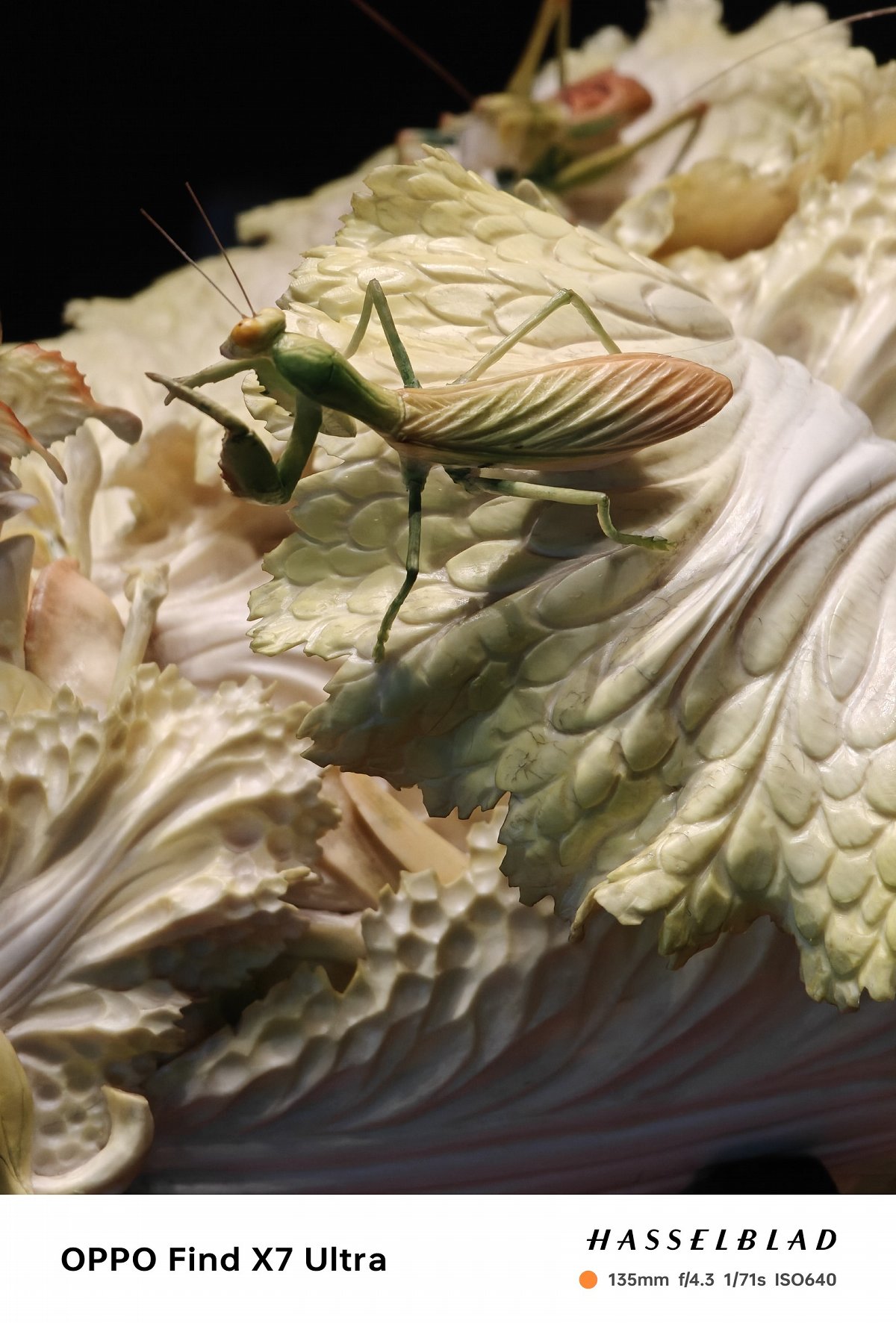 oppofindx7ultra官方样张,oppofindx7ultra双潜望实拍样张